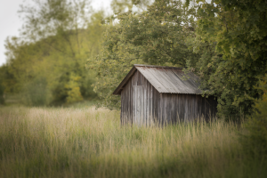 Terrain non constructible avec cabanon cadastré : Achat et Réglementation